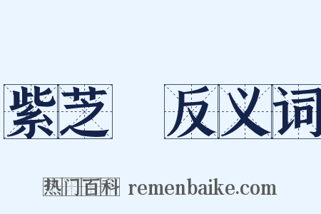 紫芝謡反义词是什么意思的图片